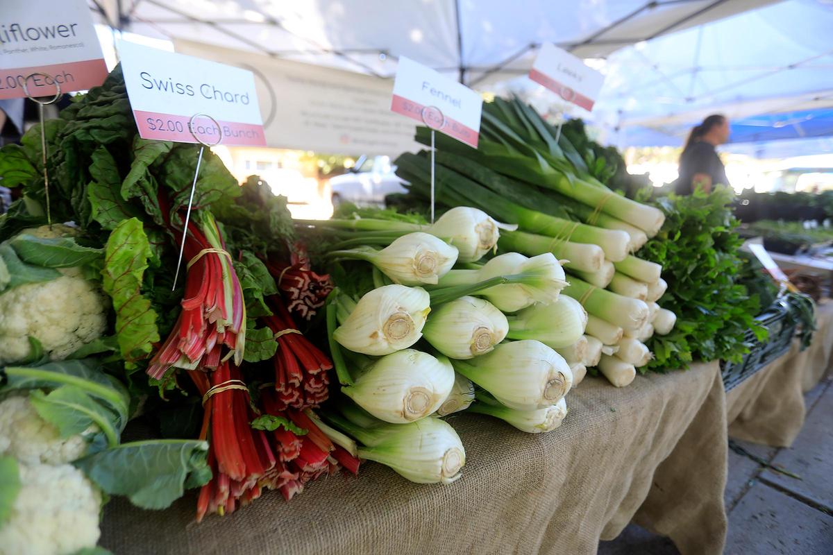 Lush, shady trees in the town park in Templeton provide shade for shoppers of the North County Farmer’s Market on a warm Saturday afternoon. Organic, fresh cauliflower, swiss chard, fennel and greens are piled up on a table, waiting for buyers from Big John’s Farm, based in Santa Maria.