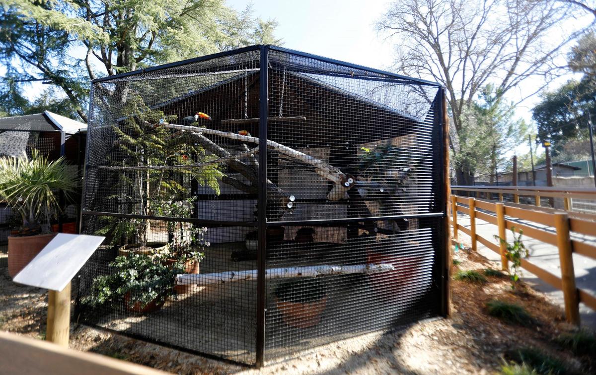 A new Cerrado Aviaries Exhibit will open at the Charles Paddock Zoo in Atascadero, California, to house hyacinth macaws and toco toucans.