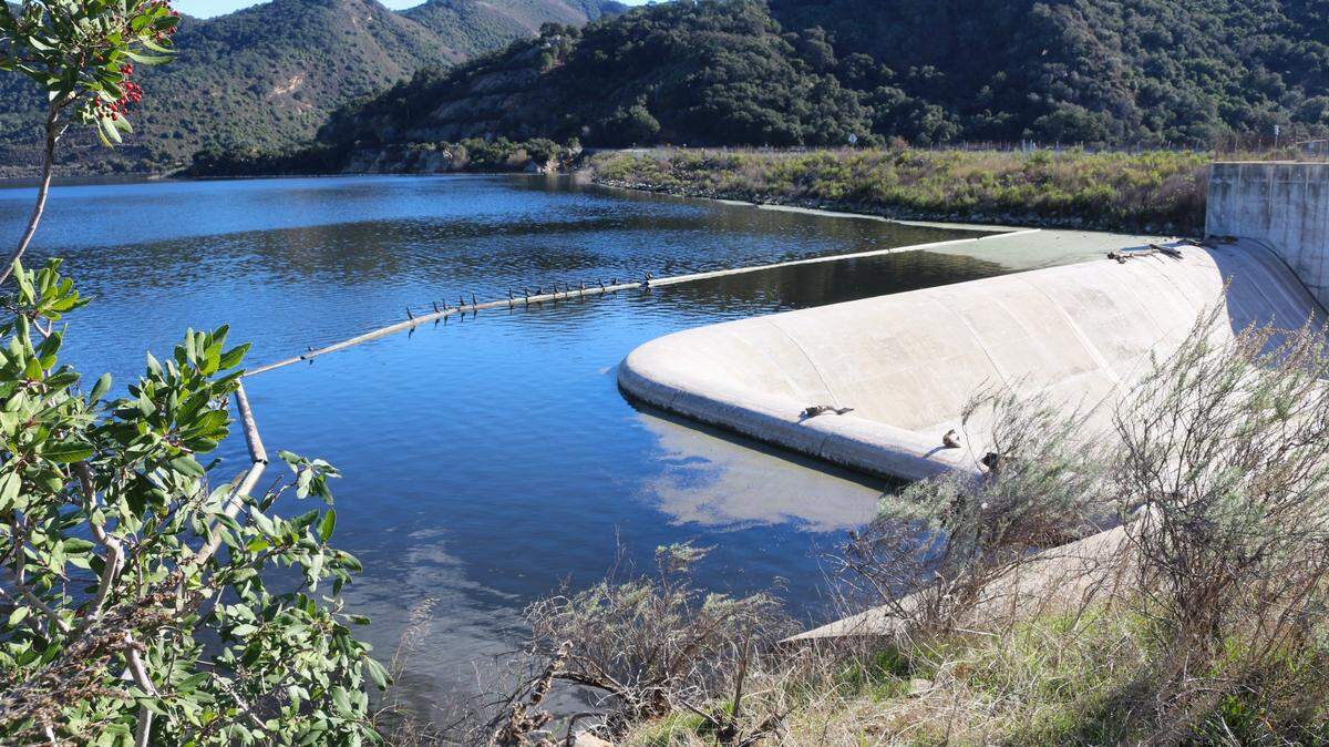 San Luis Obispo County has been ordered to increase releases from Lopez Dam to protect steelhead trout.