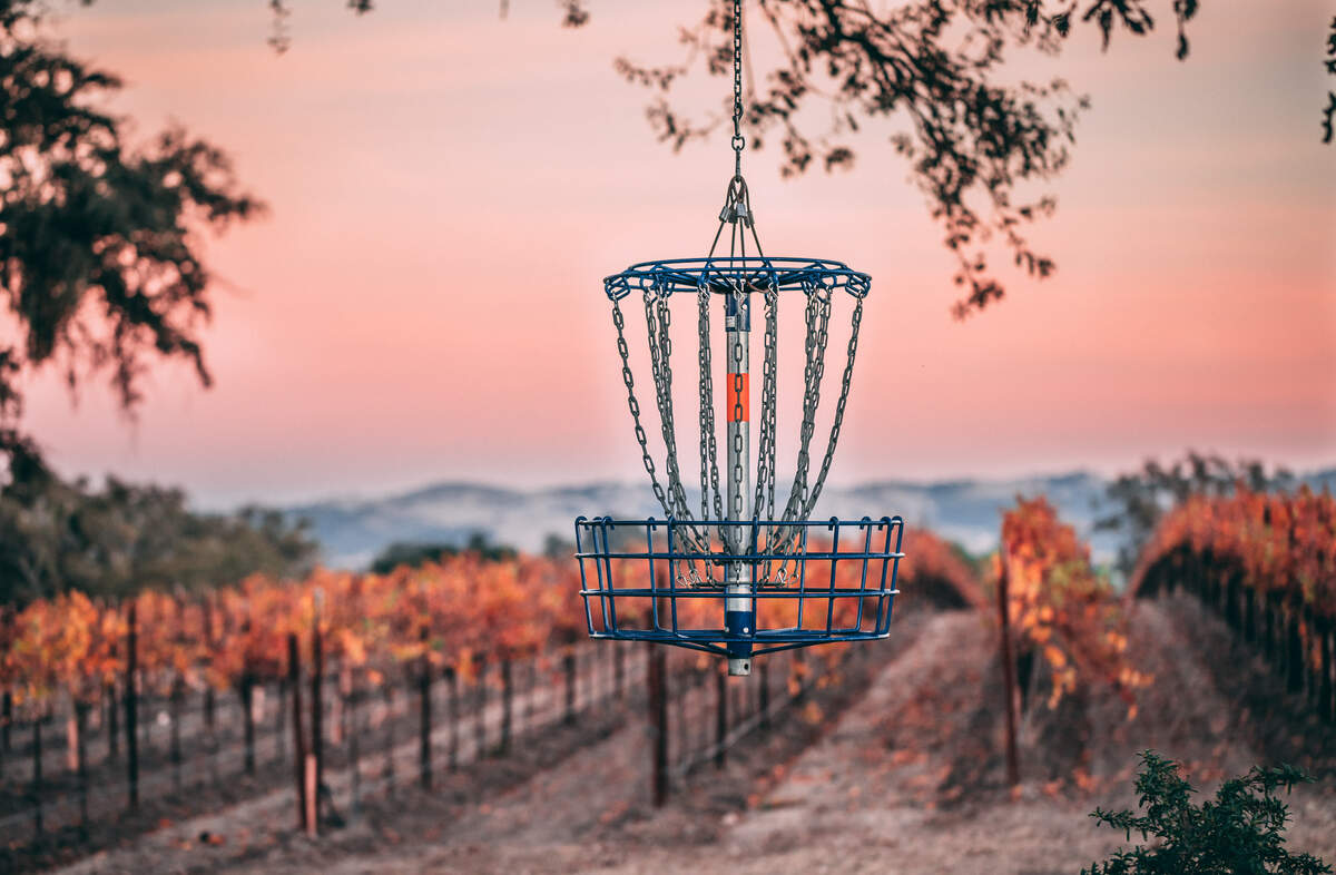 Thousands of disc golfers play at the Whale Rock Disc Golf Course every year in the vineyards of Castoro Cellars in Templeton.