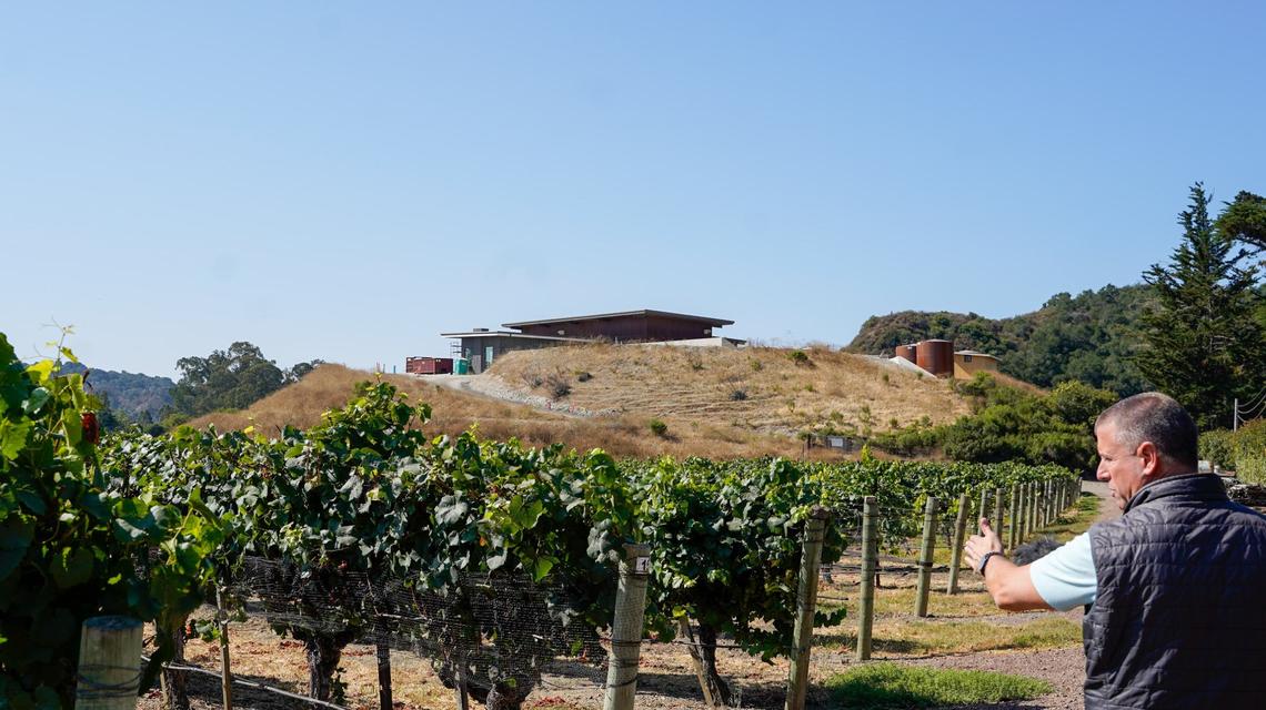 Sextant Wines director of sales and marketing Chris Blake shows a portion of vineyard that will be used to make wine for the company’s new tasting room, Aug. 24, 2024. The tasting room will serve pinot noir and Chardonnay wines made under the Windemere label, along with other California specialties.