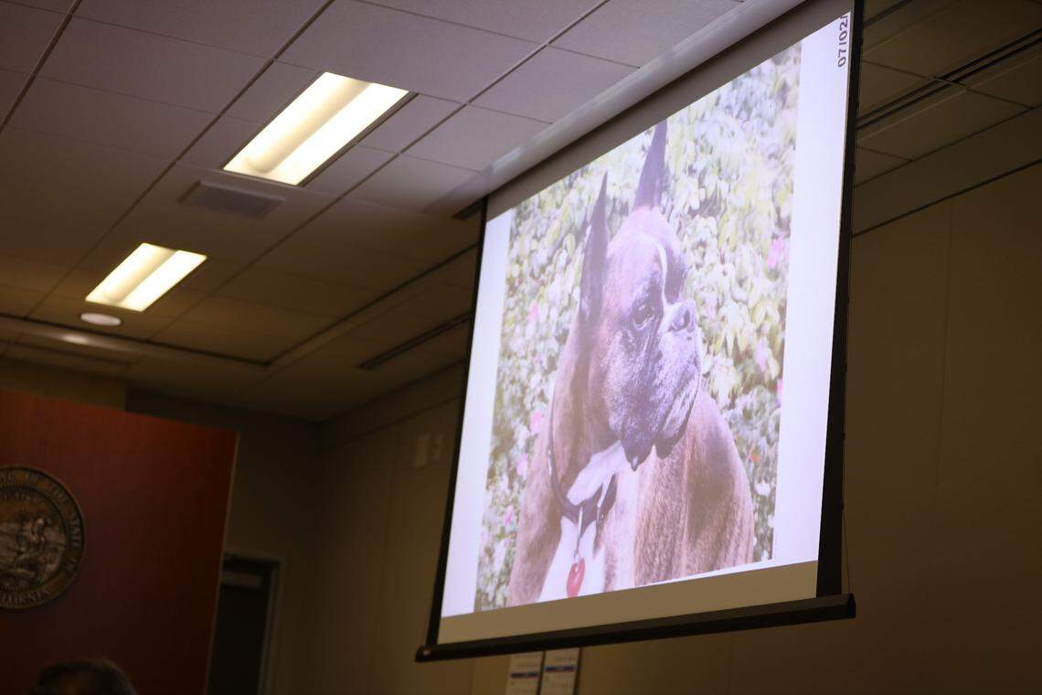 A photo of Torrey, a cadaver search dog, is shown to the juries during the trial against Paul Flores and his father, Ruben Flores, in connection with the 1996 murder of Kristin Smart at the Monterey County Superior Court in Salinas on Aug. 25, 2022.