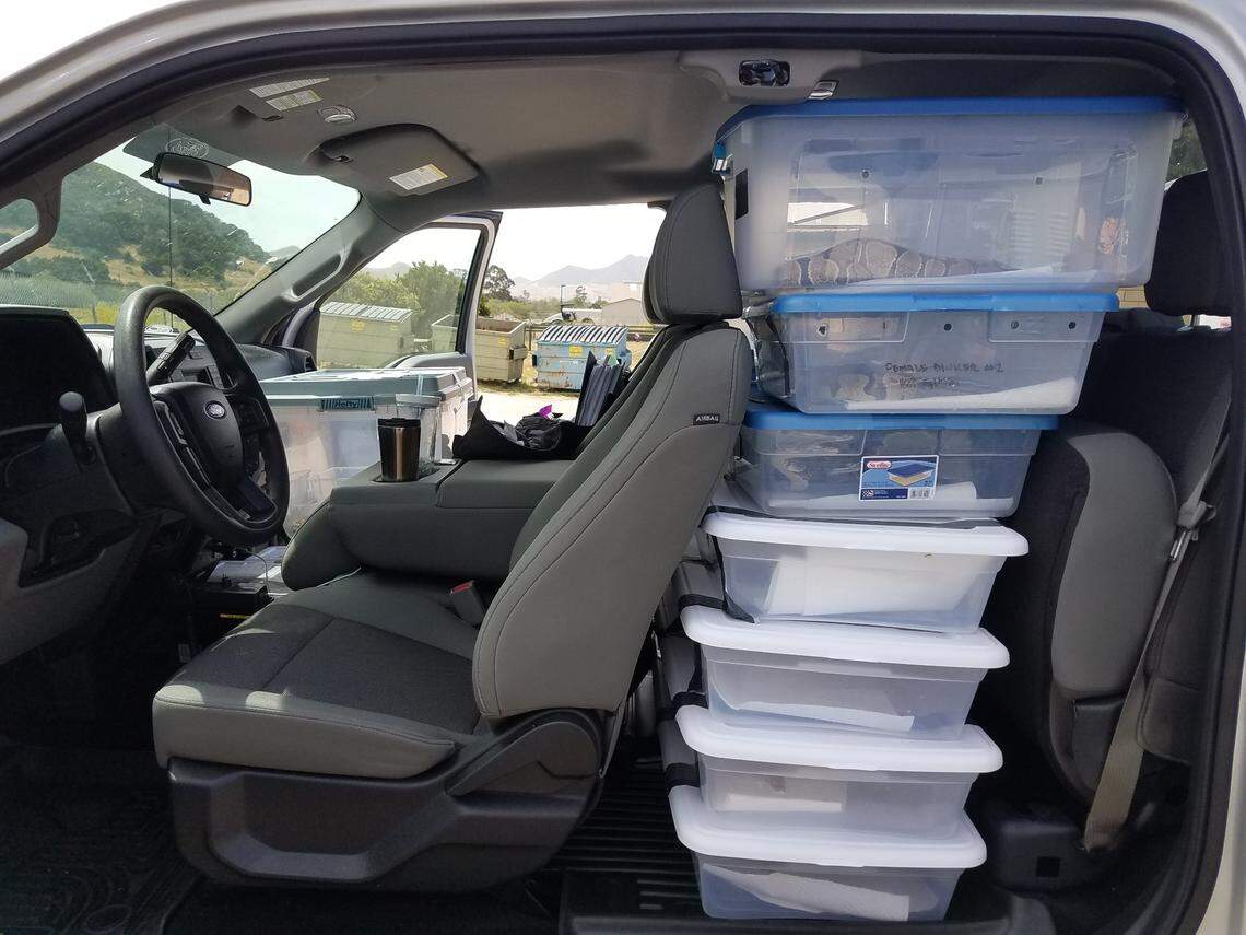 Animal Services in SLO County saved 25 pythons from a local storage unit facility.