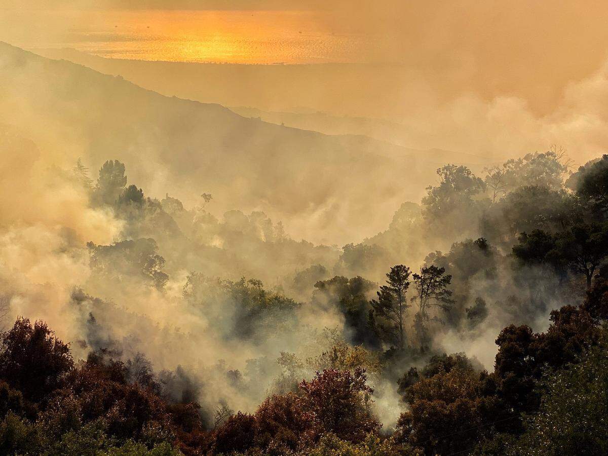 Smoke rises above the Los Padres National Forest with the Pacific Ocean in the distance Tuesday morning.