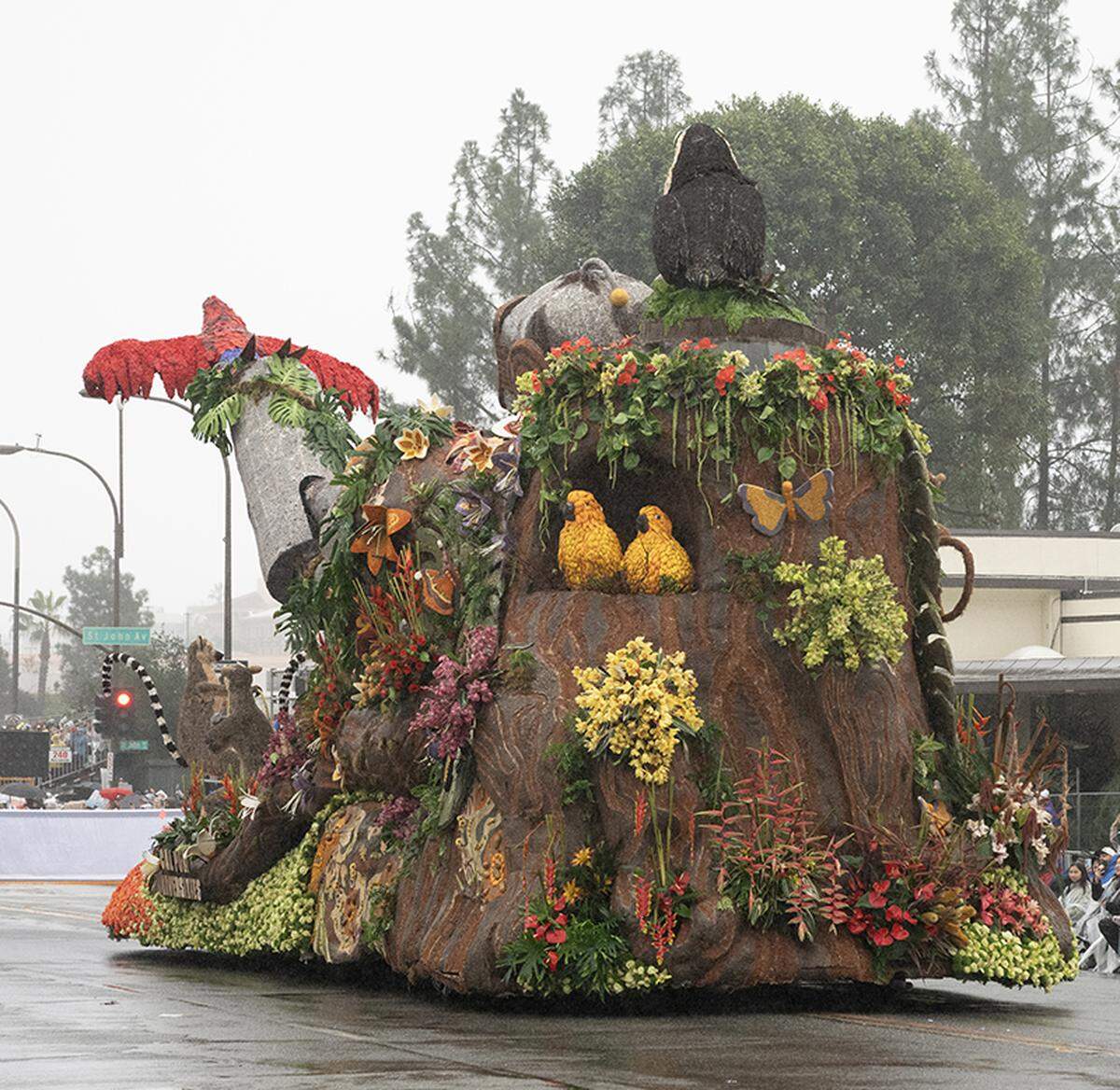 The Cal Poly Universities Rose Float, Jungle Jumpstart, makes its way toward Colorado Boulevard in Pasadena during the Rose Parade on Jan. 1, 2026.