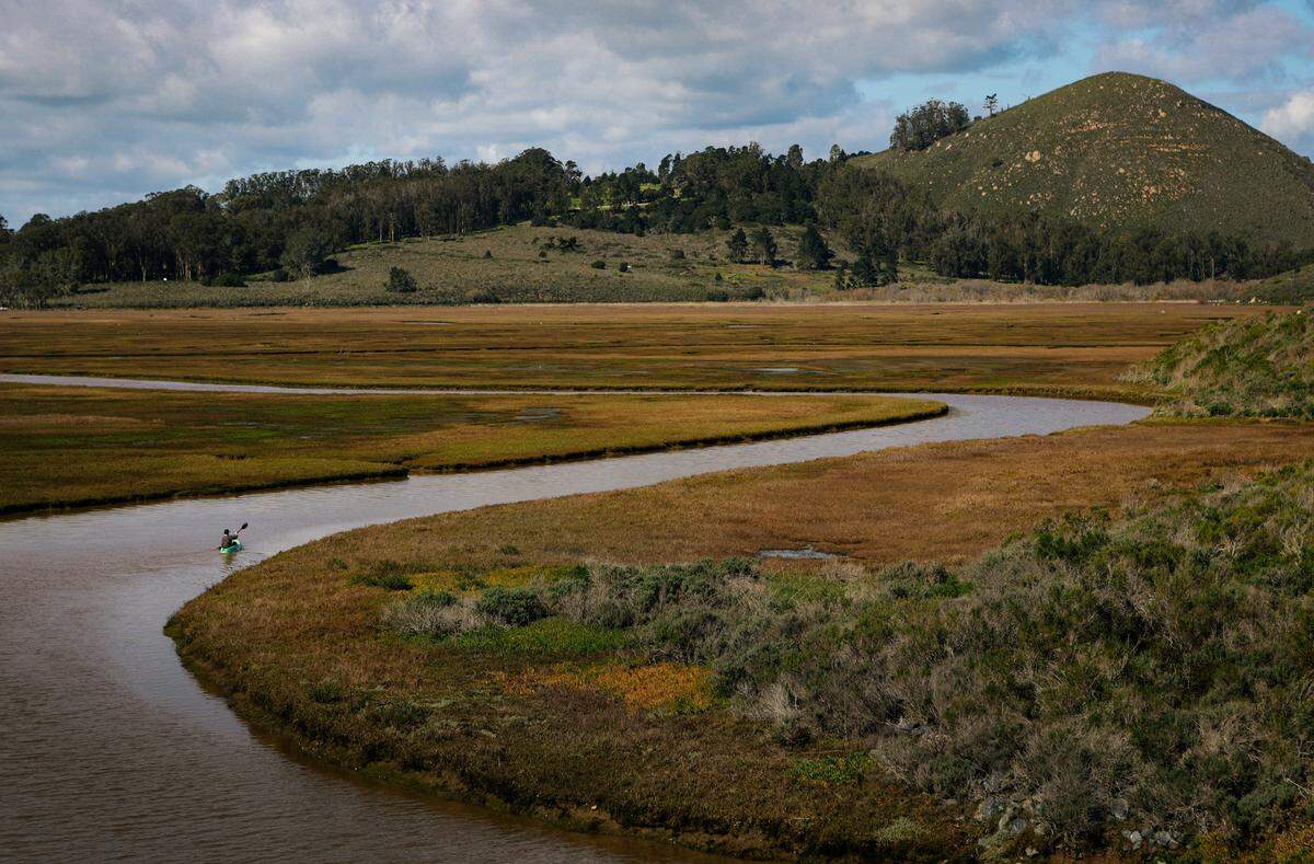 A kayaker paddles along a channel in the Morro Bay Estuary.