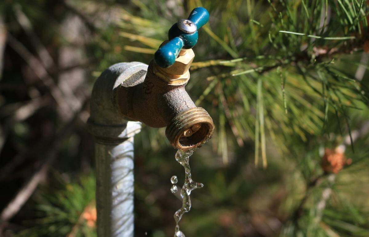 A water spigot on the property of one of the proposed Cambria Pines Estate homes gurgles out water. Two property owners are battling the Coastal Commission to build on their land.