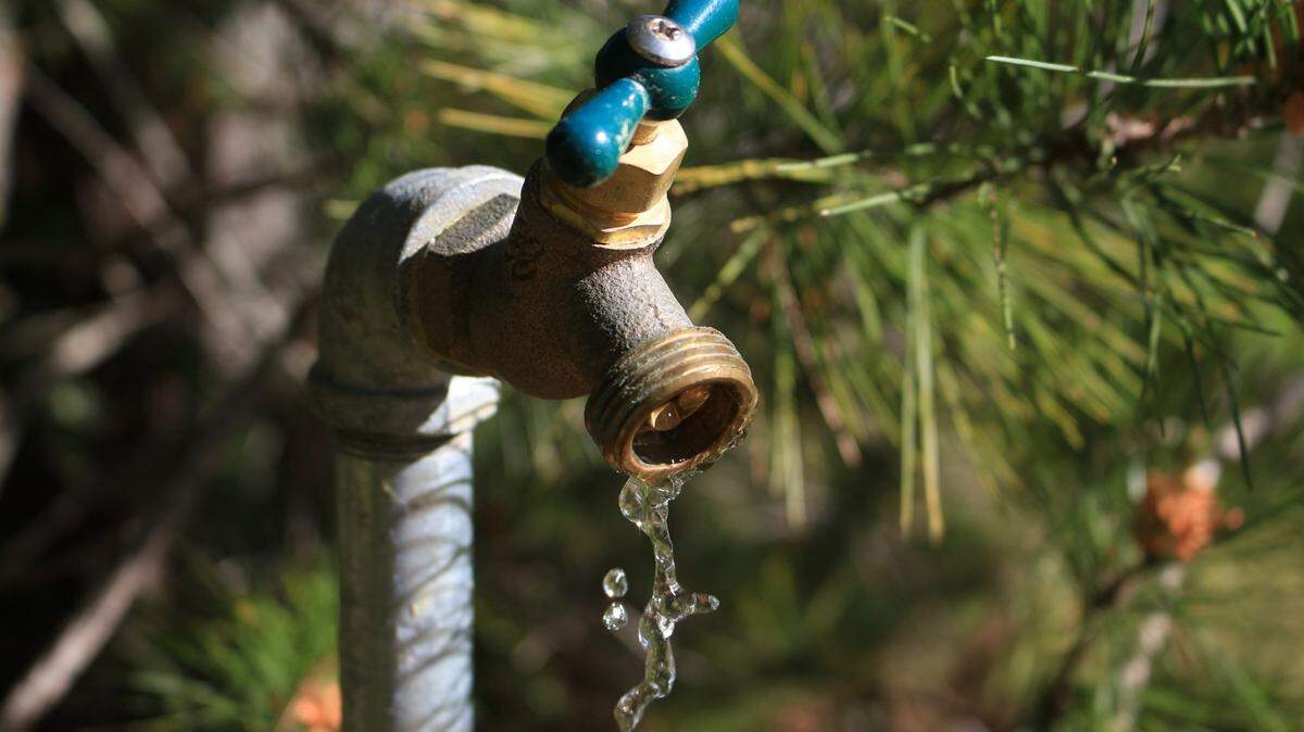 A water spigot on the property of one of the proposed Cambria Pines Estate homes gurgles out water. Two property owners are battling the Coastal Commission to build on their land.