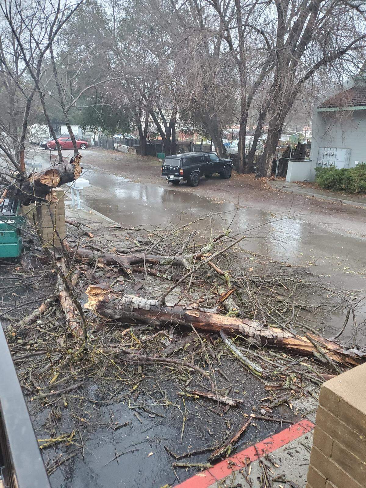 A fallen tree in Atascadero blocks the entrance of an apartment parking lot.