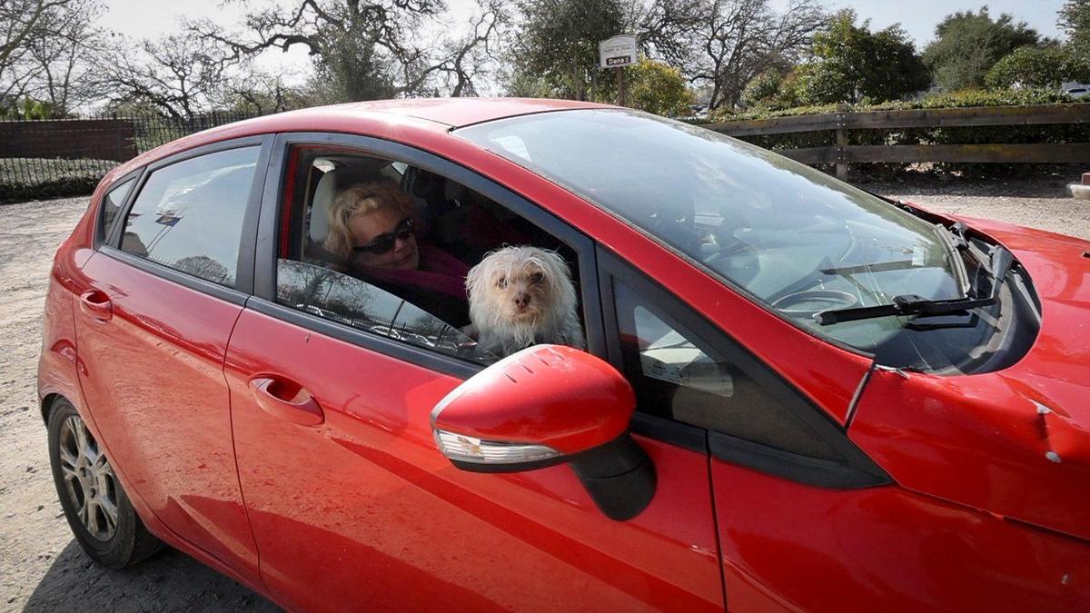 Jason and Hazel Bliss are looking for housing with their dog Olaf, seen here on March 20, 2025. Jason is currently looking for work while they live in their car.