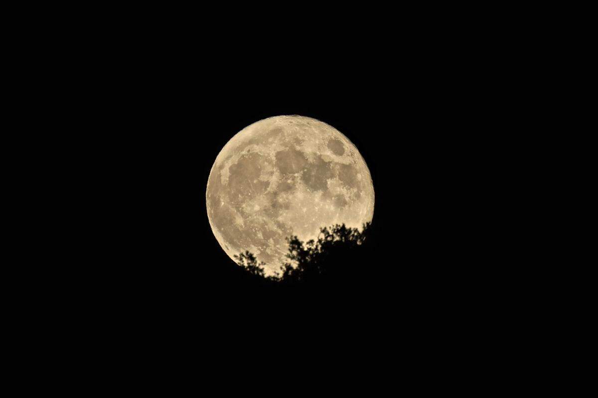 The supermoon coming up over the trees from the photographer’s backyard just outside the Village of Arroyo Grande.