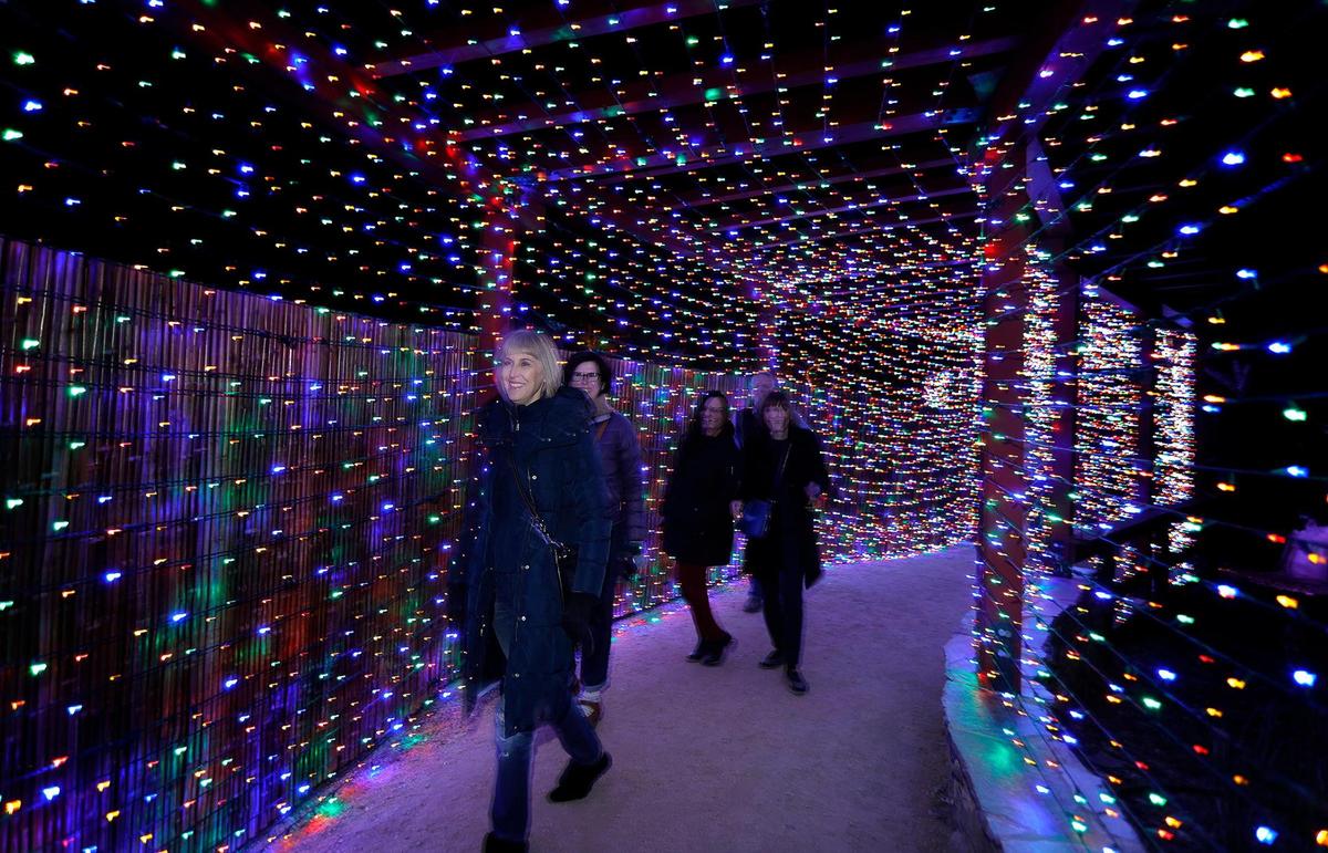 Deanna Sweeden, front, walks through the tunnel of lights at the SLO Botanical Garden’s Night Light event, followed by Karen Stafford of Los Osos, Kelly Ely, Arroyo Grande, Carol Sweeden and Bob Stafford, both of Los Osos.