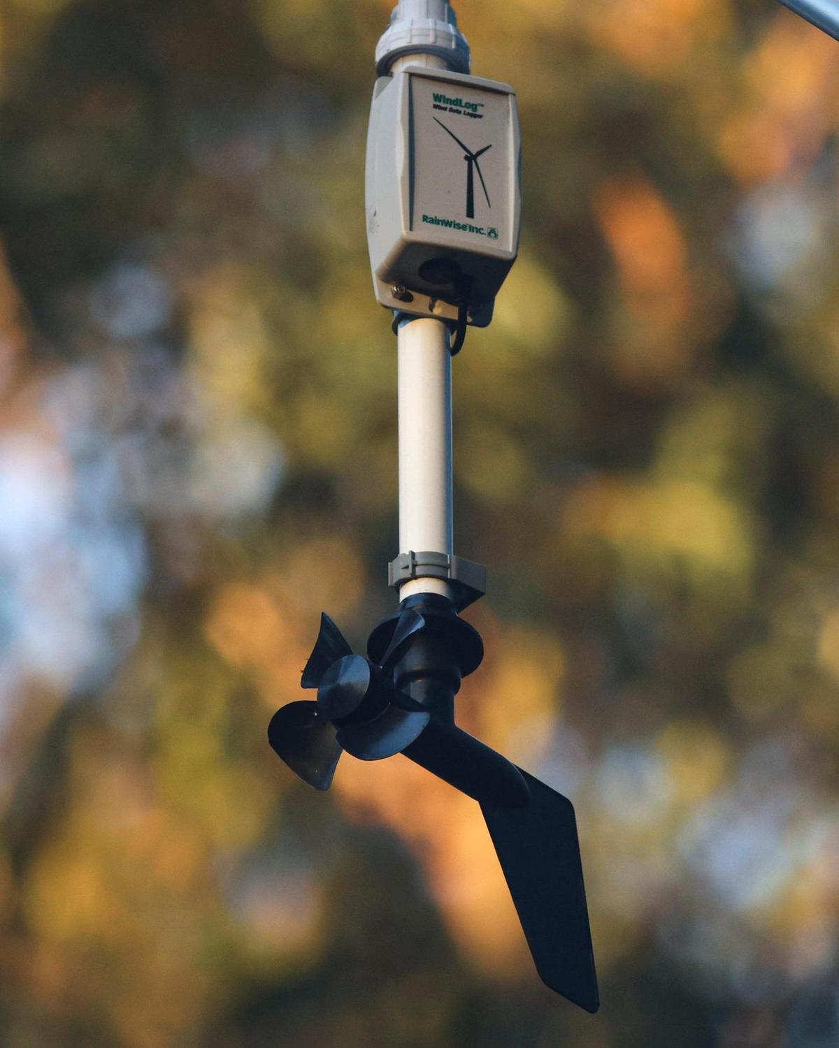 Instruments track wind movement at the Pismo State Beach Monarch Butterfly Grove on Nov. 29, 2023, to help scientists and land managers better understand and protect the imperiled species.