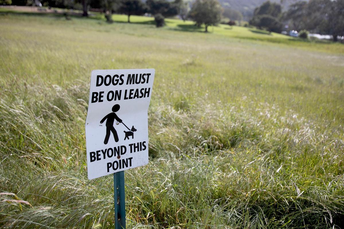 The San Luis Obispo City Council approved spending up to $1.13 million to fix up Laguna Lake Dog Park. The off-leash park needs stump removals and fencing.