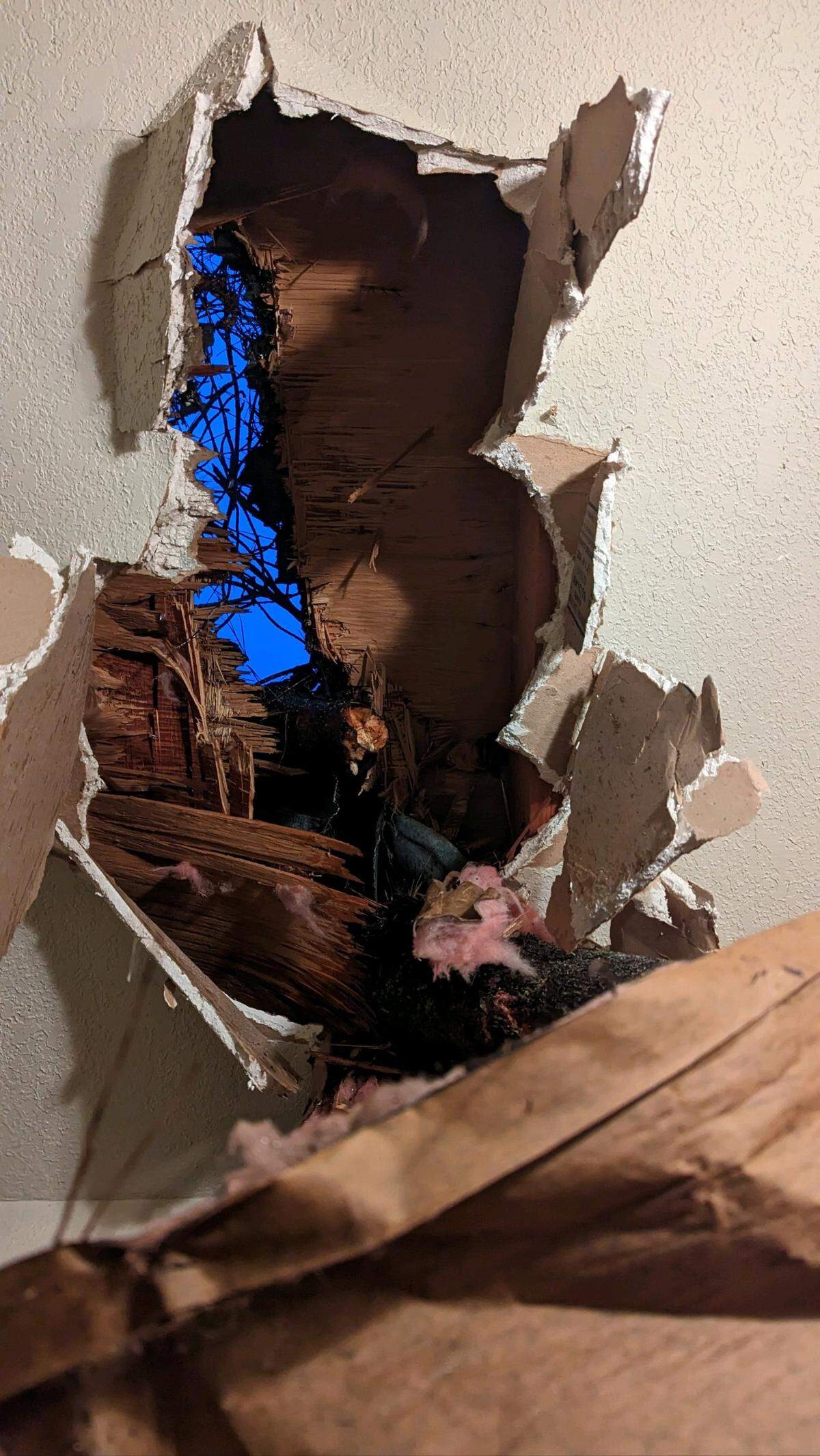 A tree smashed through a San Luis Obispo duplex during a winter storm on Feb. 24, 2023.