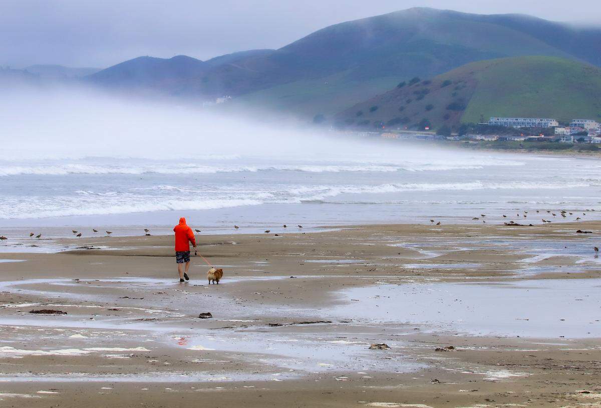 Beachgoers and birds enjoy a rainy day in Morro Bay.