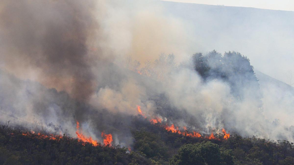 Flames from the Green Fire burn through chaparral in the hills south of Highway 46 West on Oct. 6, 2023.