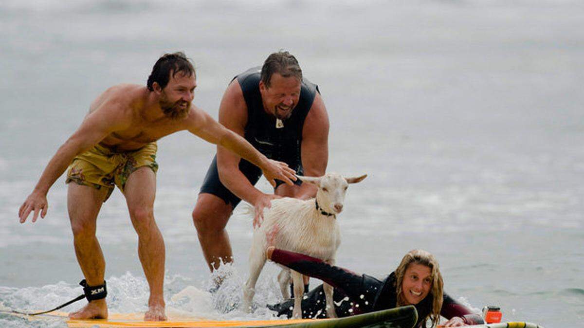Dana McGregor, far left, surfs with his pet goat Pismo and pals Mark and Debbie Gale of San Clemente at San Onofre State Beach in July 2012.