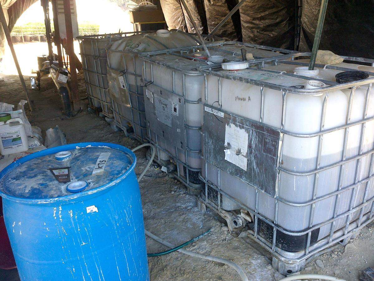 Liquid fertilizer tanks on Helios Dayspring’s property in Los Padres National Forest were stored on bare ground within the 50-foot creek setback in 2019.