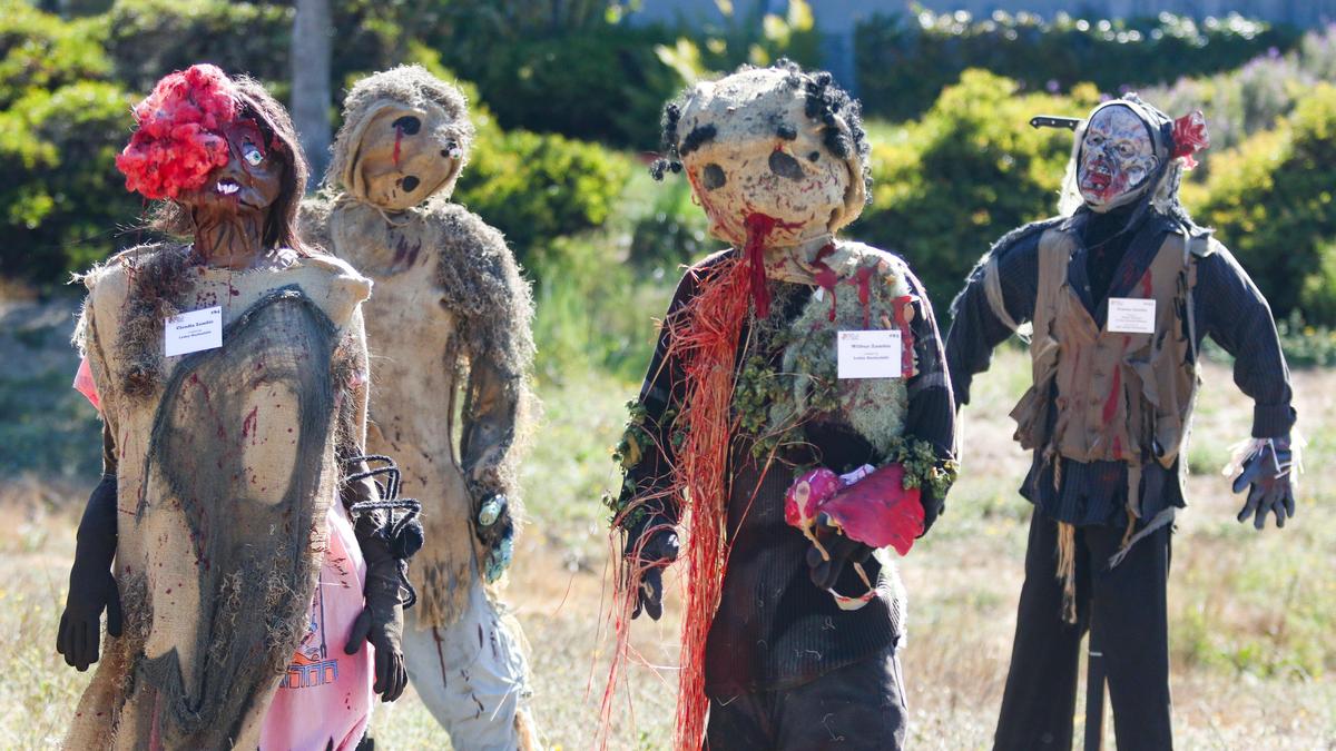 Zombie Natalie by Terri Pilot is part of a horde zombies roaming along Cambria Drive. Scarecrows are wandering the streets of Cambria and San Simeon as the October festival is underway.