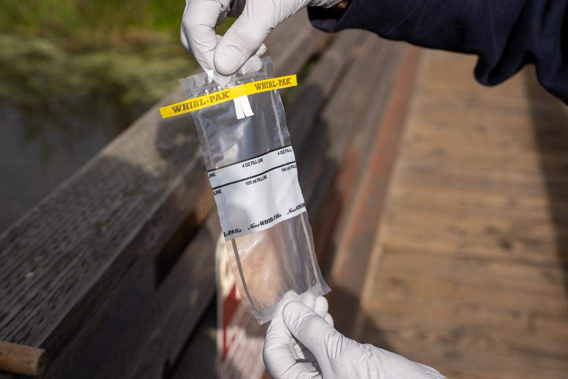 Surfrider Foundation Dr. Stanley Rice prepares a sample container after taking a water sample from the bridge across Pismo Creek on Wednesday, Oct. 15, 2025. Members of the Blue Water Task Force are sounding the alarm about the amount of pollutants in the creek's flow, which they say is likely caused by humans.