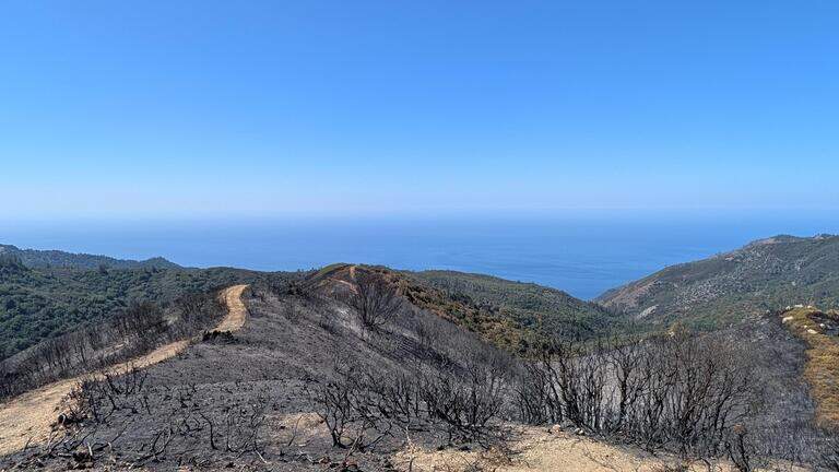 Evacuation orders lifted as Big Sur wildfire nears full containment