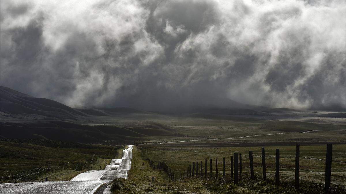 The Carrizo Plains have been transformed by winter rains and snow, bringing new life and colors.