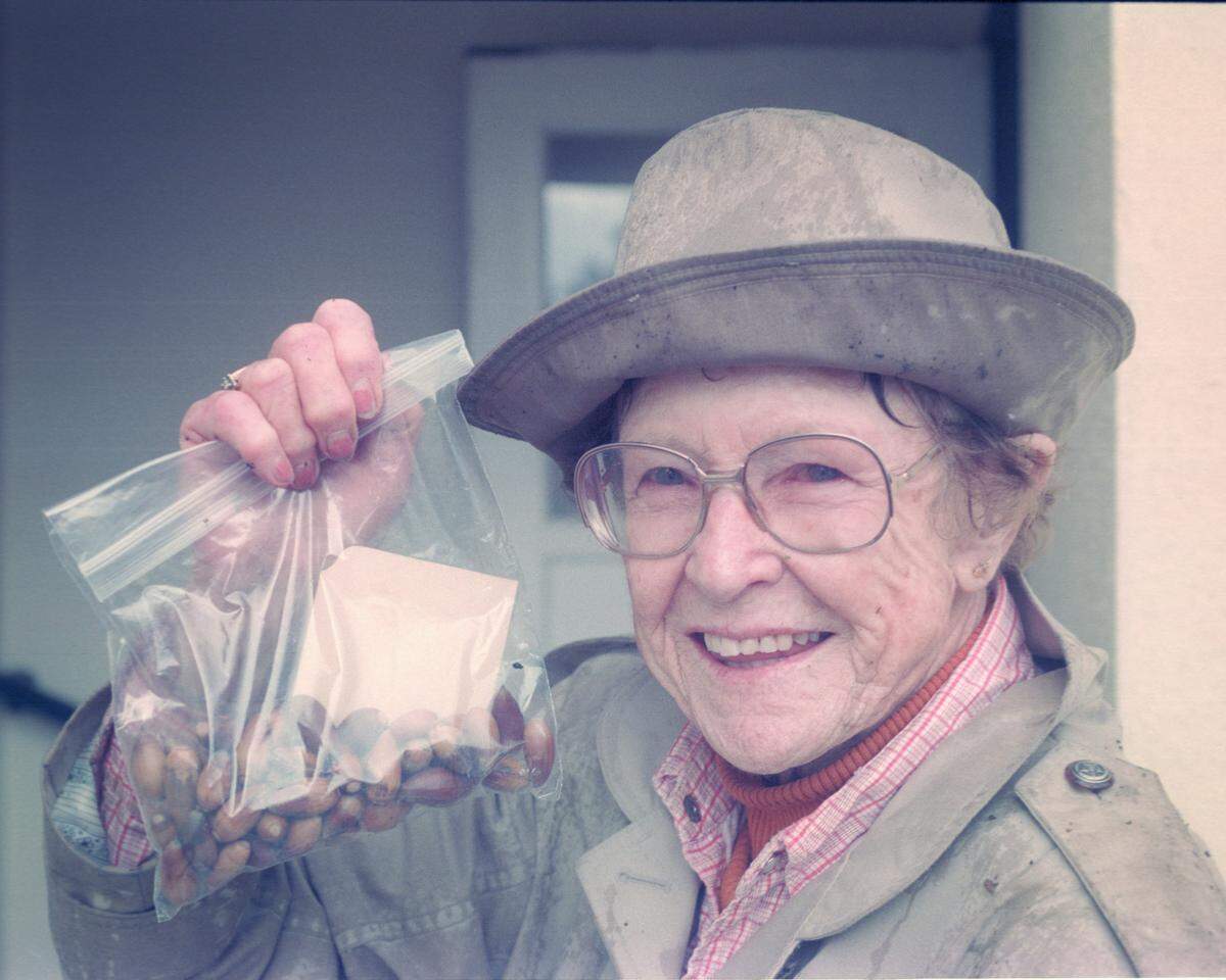Longtime environmental activist, Kathleen Goddard Jones holds up a bag containing a few of the 1,000 acorns to be planted on a brushy plot of land in Arroyo Grande on Dec. 14, 1993. The acorns were from a pair of oak trees slated to be cut down on Grand Avenue near Courtland.