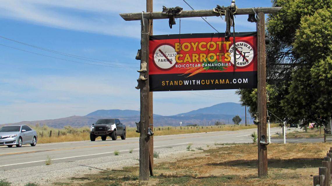 Central Coast residents call for Big Carrot boycott as growers sue over water rights