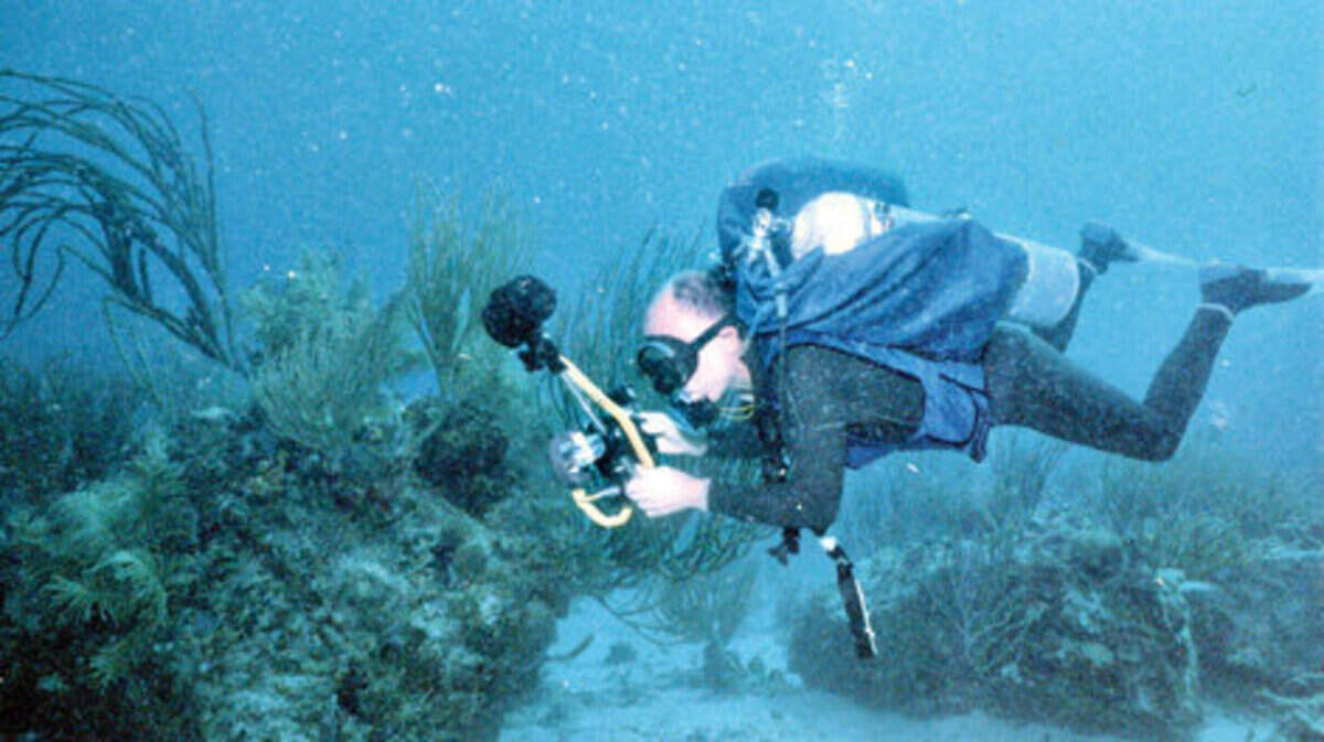 Sam Miller photographs the undersea landscape in the British Virgin Islands.