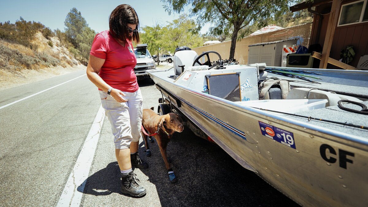 Debi DeShon and her mussel-sniffing canine Popeye inspect a boat at Lake Nacimiento for invasive aquatic species such as quagga and zebra mussels.
