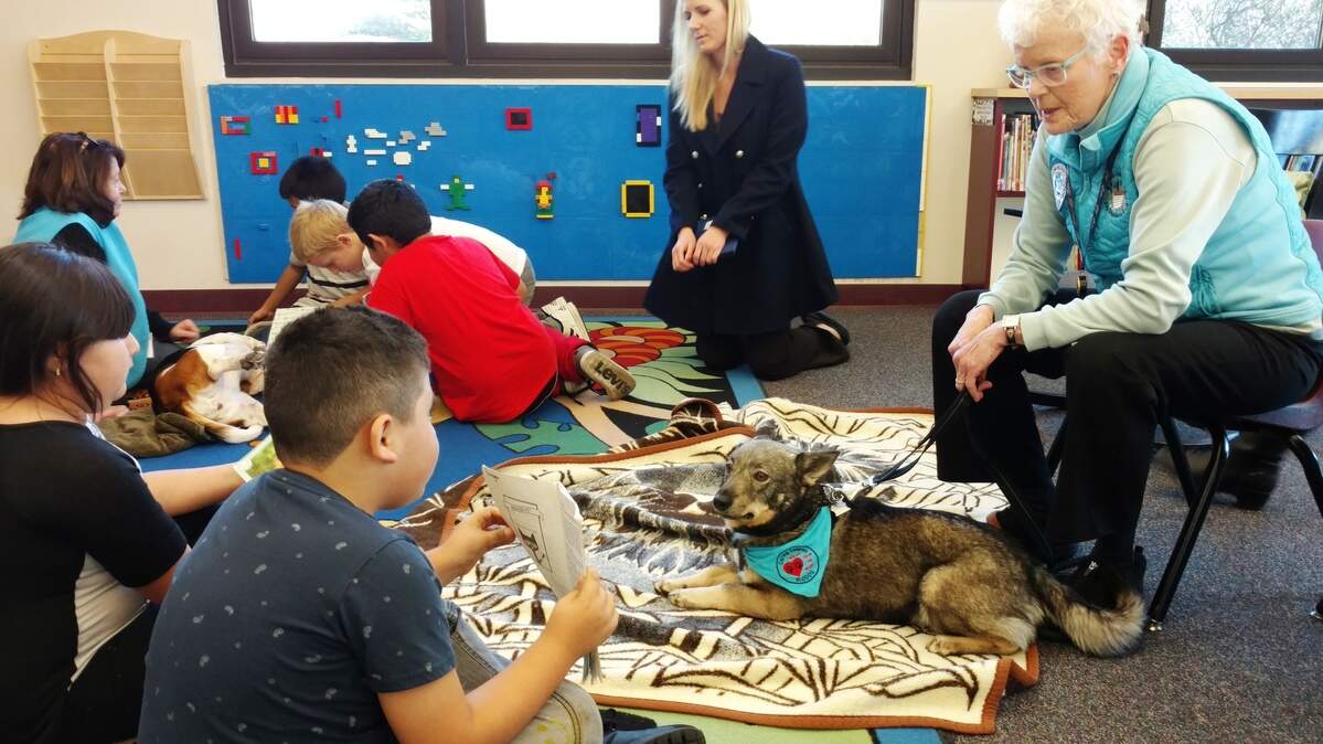 Roberta Vitols and Emil, right, are joined by Mary McDonald and her Basset hound, Stella, at the Cambria Grammar School library for Reading 2 Rober.