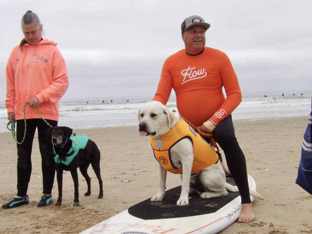 The World Dog Surfing Championships Exhibition Tour took over Pismo Beach on May 2, 2026. Though some have competed before, others like Pancho, pictured above in the orange vest, were competing for the first time.