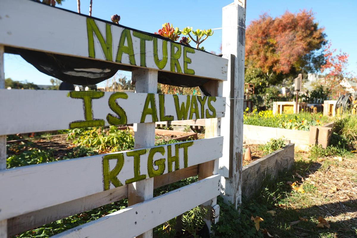 The community garden is just one area of Emerson Park that’s slated for upgrades. The city of San Luis Obispo received a $2.81 million grant to fund improvements including a small dog park, restroom and expanded basketball/multi-purpose court.