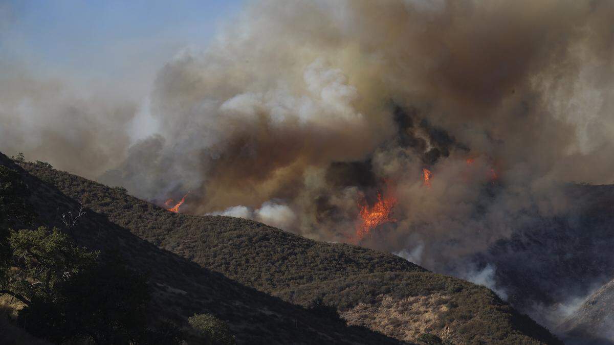This hillside burns north of Highway 166. The Gifford Fire burned an estimated 5,000 acres on both sides of Highway 166 east of Highway 101 on August 1, 2025.