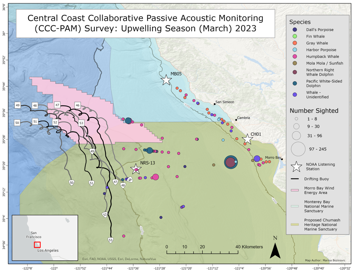 This map shows where NOAA’s sound recorders are placed in the proposed Chumash Heritage National Marine Sanctuary, as well as various animals spotted in the area.