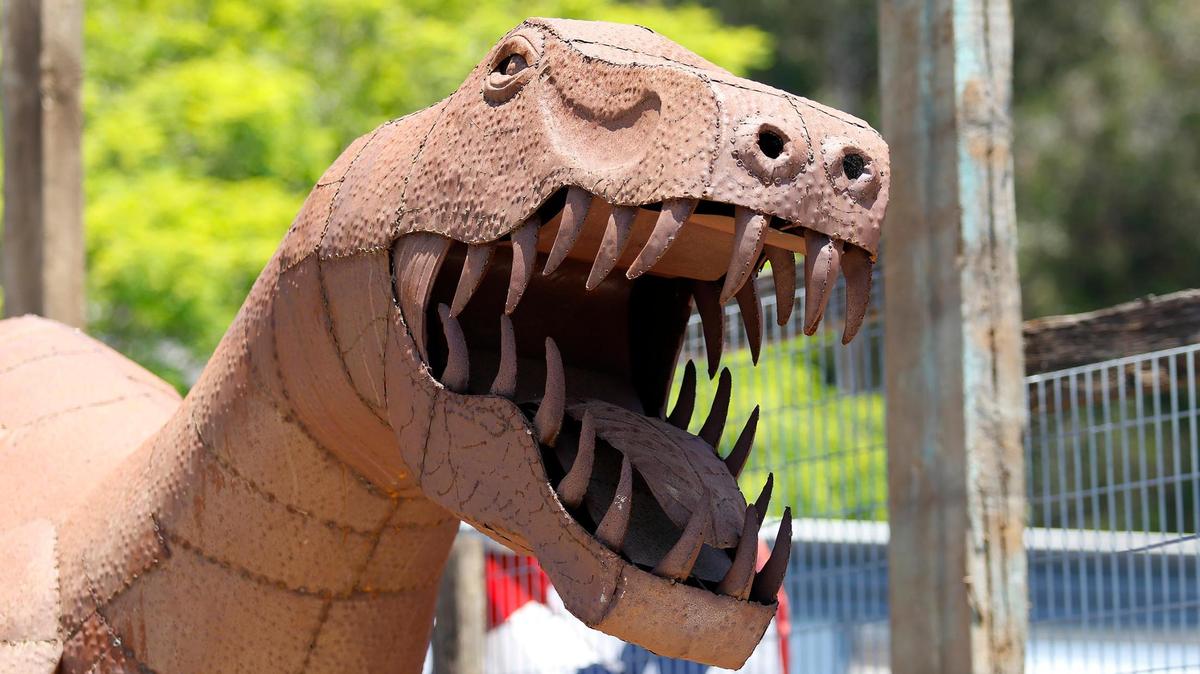 A welded-steel dinosaur stands nearly roof high at 1561 Main St. in Cambria, alongside a building that Pismo Beach Surf Shop owner Bill Bookout hopes to open soon as a surf, bicycle and kayak store.