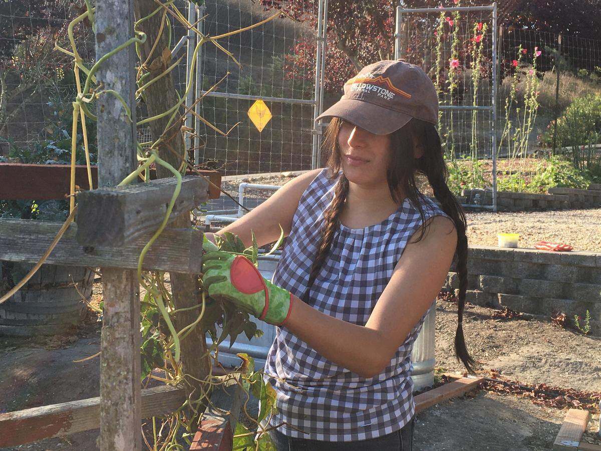 Cal Poly landscape architecture student Nelly Rodriguez is being mentored by retired San Luis Obispo therapist Linda Lewis Griffith.