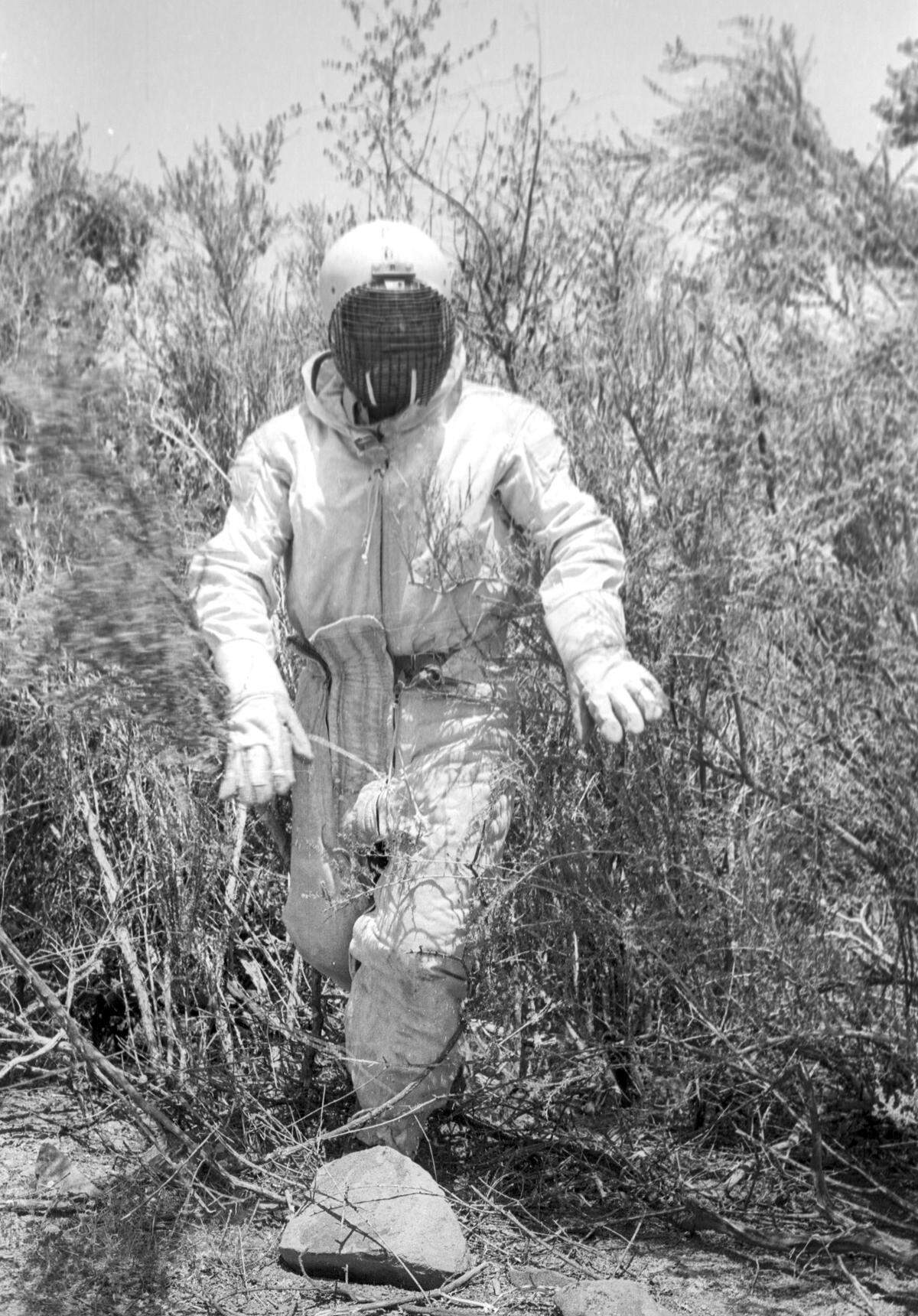 Helitack crew trains for firefighing, walking out of heavy brush with jump gear on near Pozo seen here on July 17, 1967