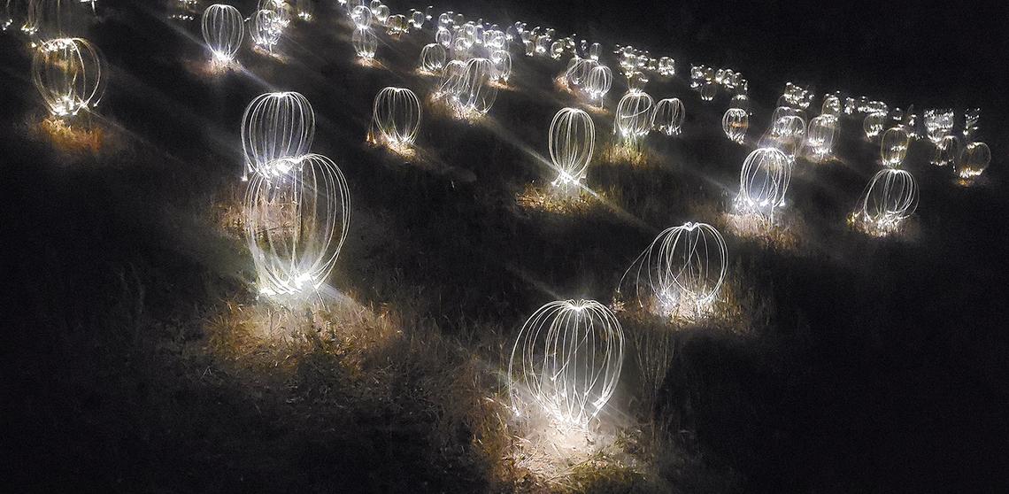 Two new light exhibits at Sensorio in Paso Robles were unveiled on Friday, May 19, 2023. “Fireflies” features 9,270 whimsical tendrils of light scattered in small clusters on hillsides near the new “Gone Fishing” display of 30 fanned-out arrays of 25 multi-colored “fishing rods.”