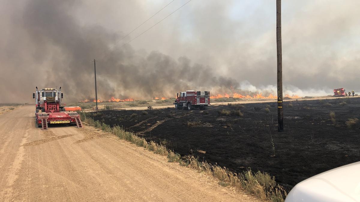 The Bear Fire broke out in California Valley on the afternoon of June 12, 2024, quickly growing to 1,410 acres. Cal Fire said it had a moderate to dangerous rate of spread. 