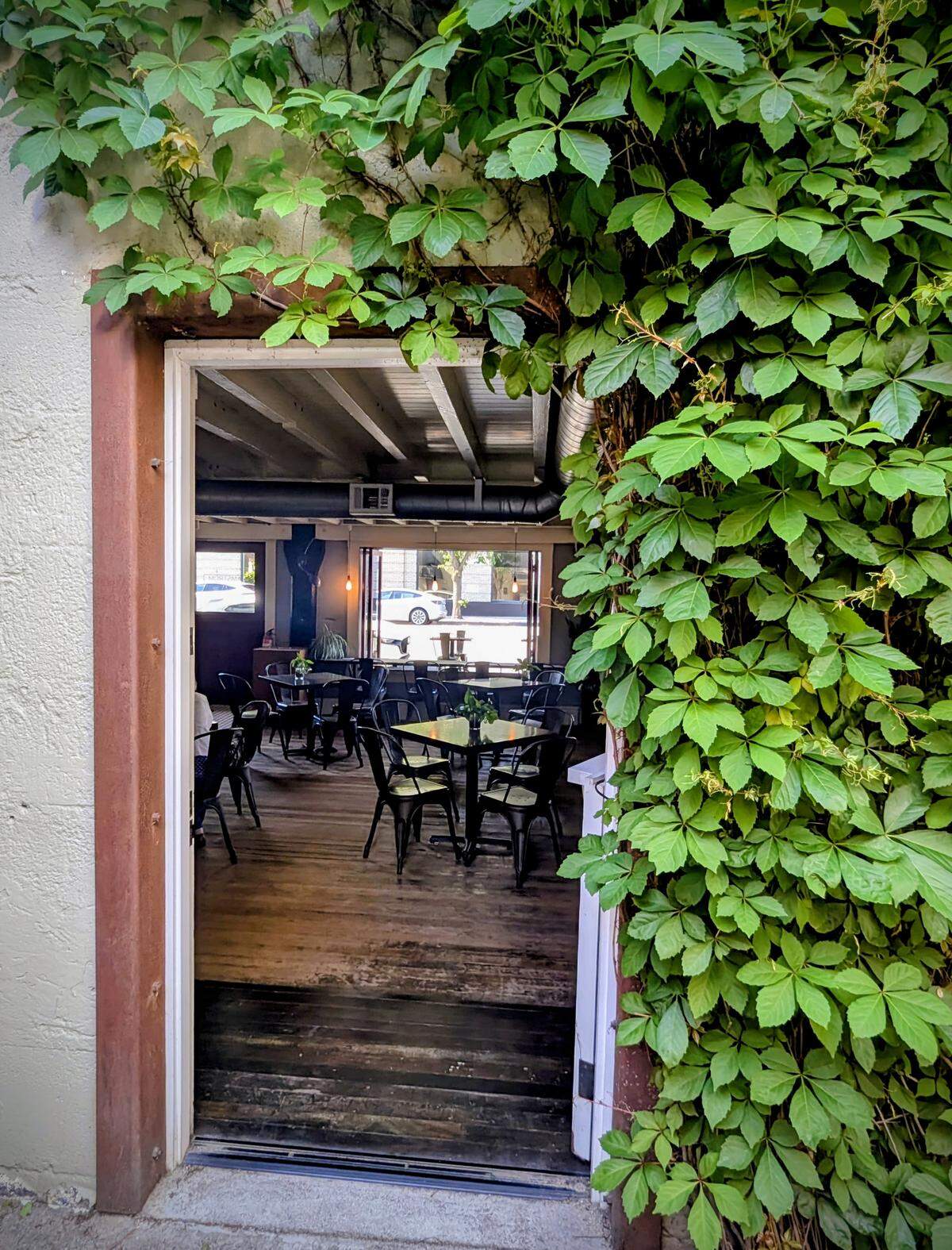 The interior dining area at AMSTRDM Coffee House in Paso Robles is viewed through a vine-covered courtyard entrance.