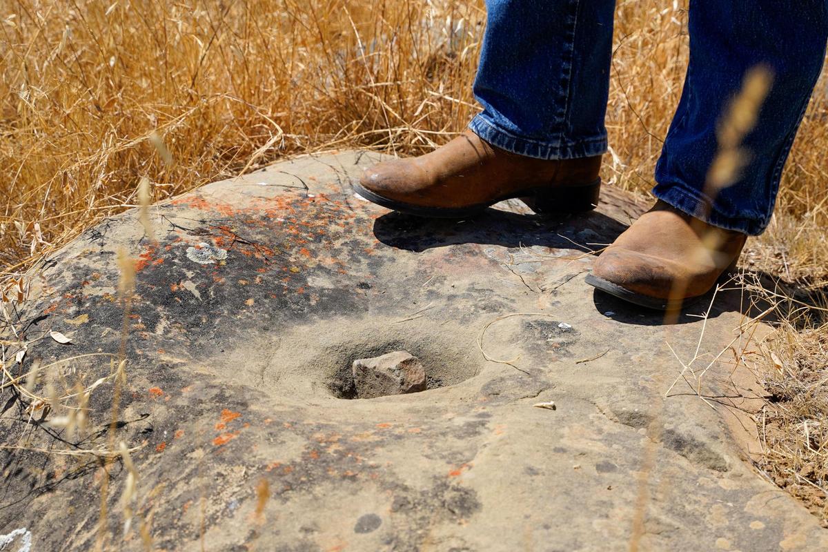 Laird Foshay often finds metates ground into stone at Adelaida Springs Ranch, seen here on July 15, 2025.