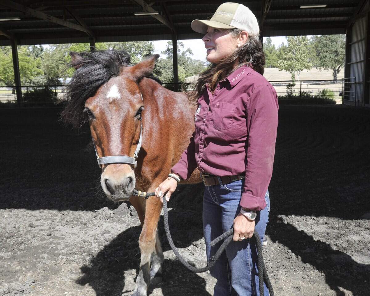 Marina Premoli, with Rusty,  is starting a north county equestrian therapy program, seen here on May 27, 2026.