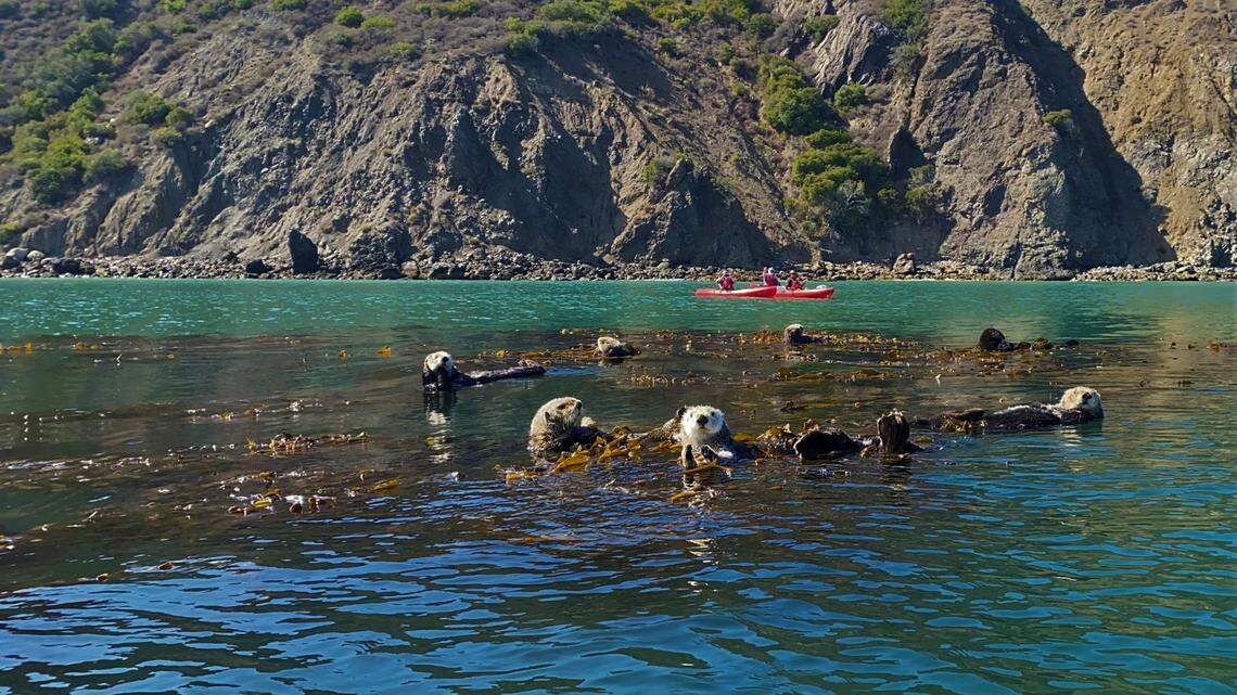 This weather model predicted SLO County rain storm — more than a week ahead of time