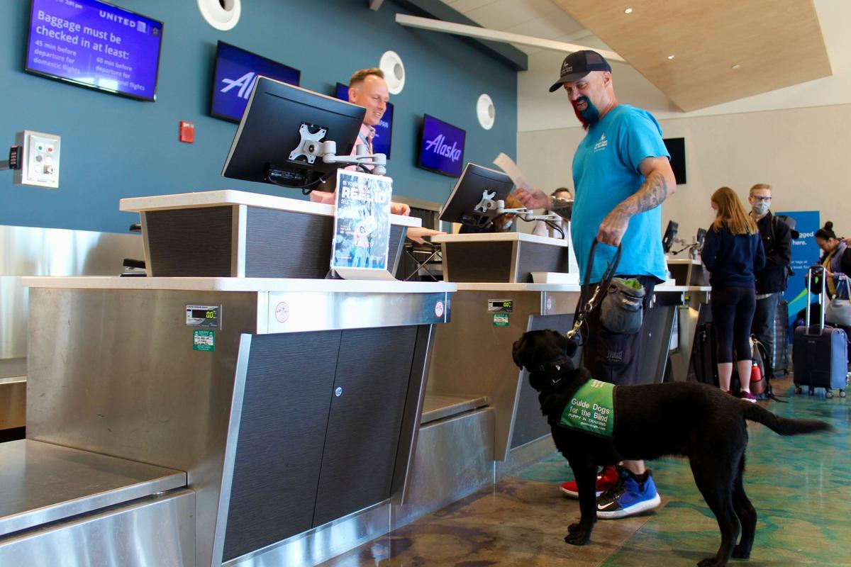 Guide Dogs for the Blind conducted a training exercise at the San Luis Obispo County Regional Airport on Saturday, May 28, 2022.