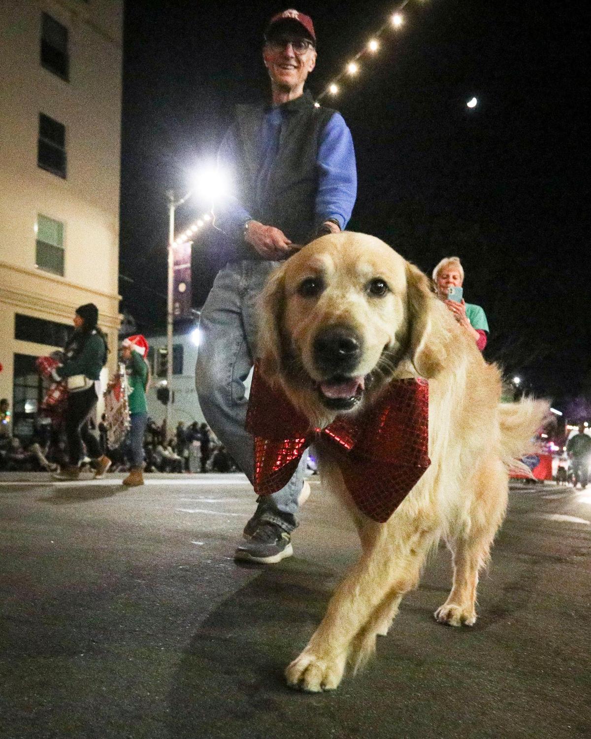 David Ludwigson walked Cosmo, a golden retriever representing Woods Humane Society. Unseasonably warm weather encouraged a large crowd to attend the 48th annual downtown Holiday Parade. on Dec. 6, 2024.