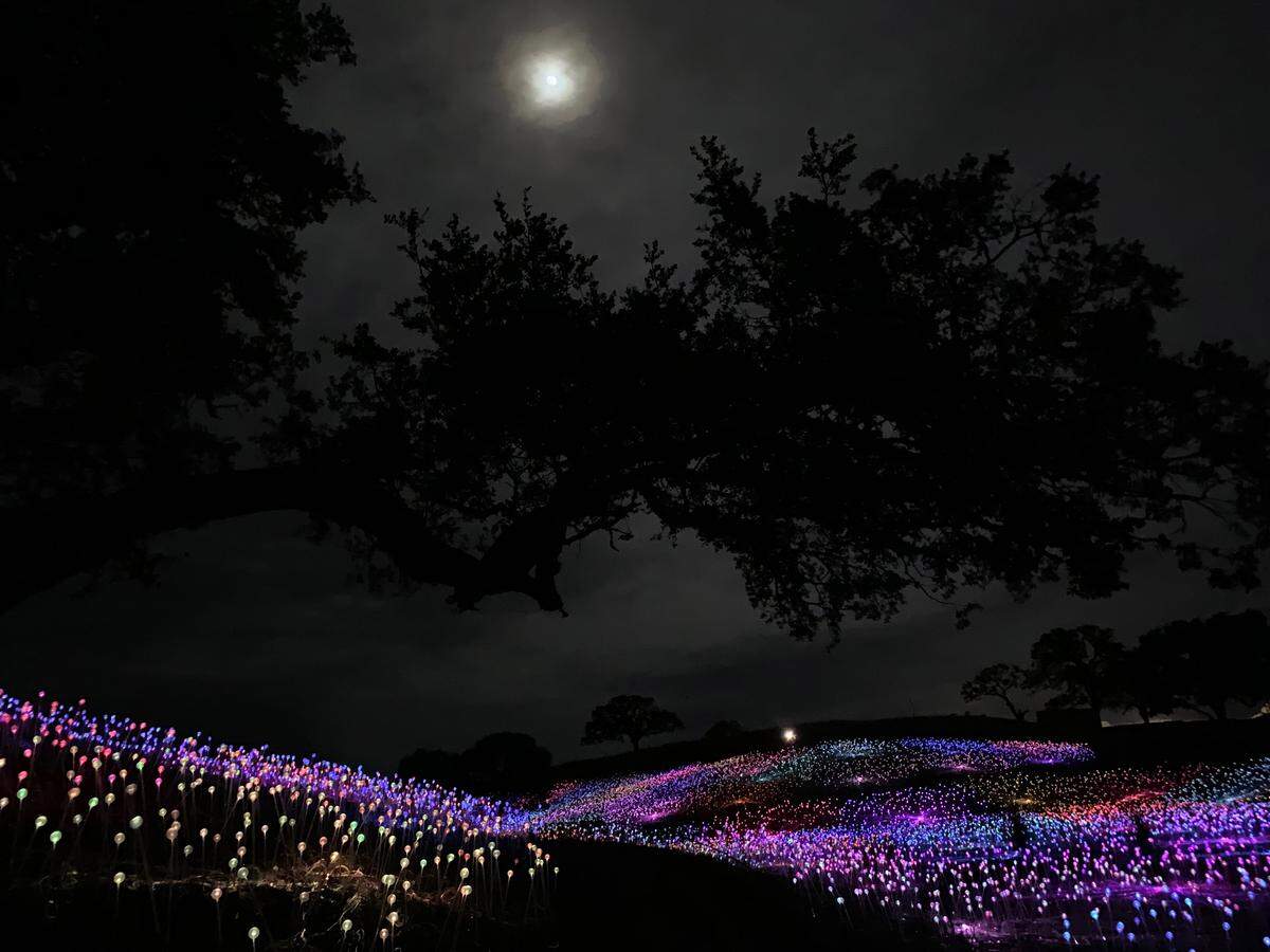 The moon glows through the clouds above the Field of Lights in Paso Robles.