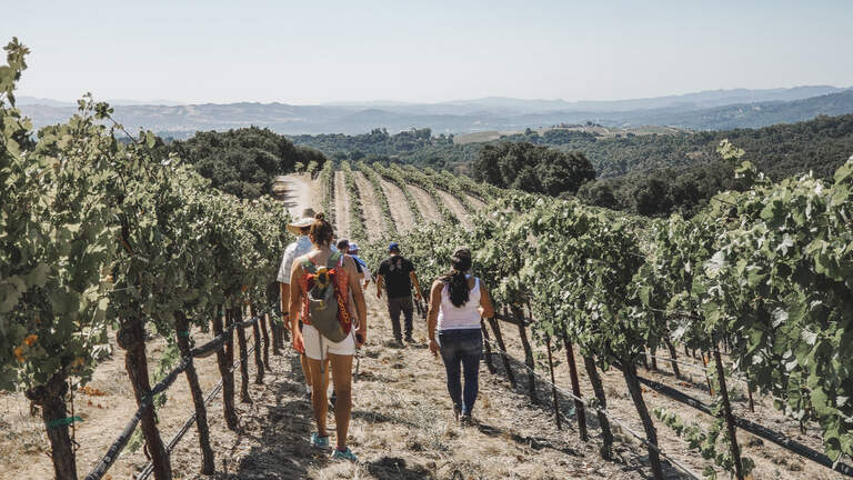 Paso Robles wine touring company ranked one of best in country by USA Today