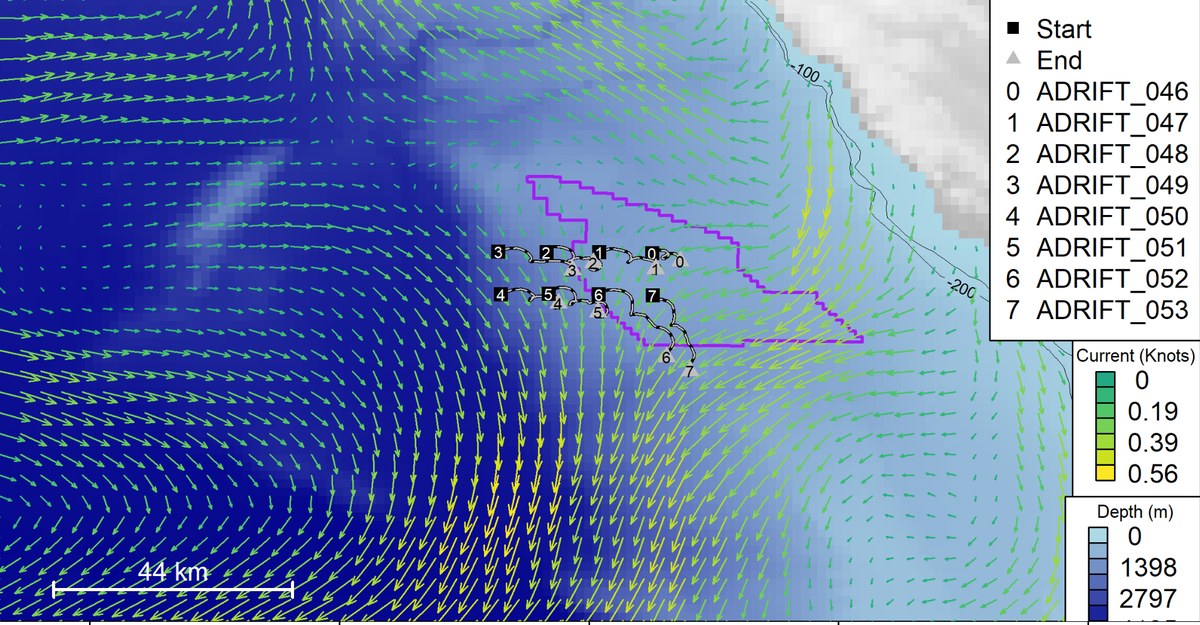 A snapshot of the eight drifting buoys deployed in March by NOAA in the Pacific Ocean in the Morro Bay wind energy area off San Luis Obispo County’s coast. The black and white lines coming from each numbered square shows the floating path of the buoy with the sound recorder attached. The purple outline is the Morro Bay wind energy area.